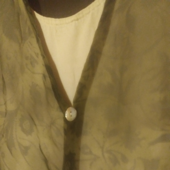 FASHION BUG 2-IN-1 SHEER BLOUSE - Picture 4 of 4